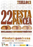 Cartel Fiesta año 2013