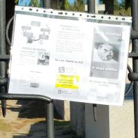 Precaución no Cemiterio de Cea, por posible niño de Vespa Velutina